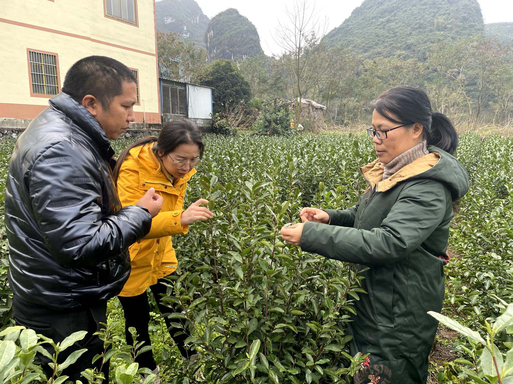 茶艺茶道茶文化高清图片下载-正版图片500960832-摄图网