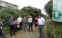 全国引智基地会议代表参观广西亚热带作物研究所芒果种质资源圃