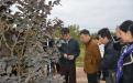 李卫东一行参观了番石榴种植资源圃