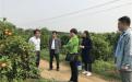参观种植基地