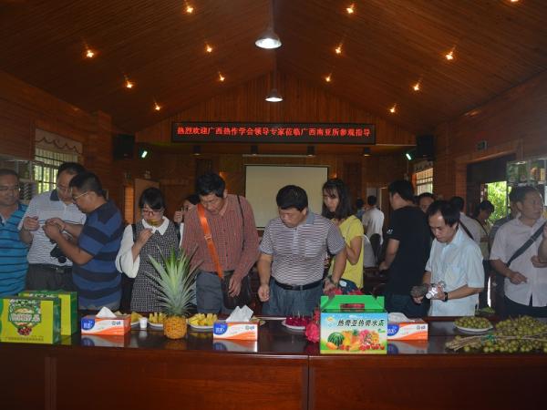 广西热带作物学会2016年学术年会参会代表品尝果实