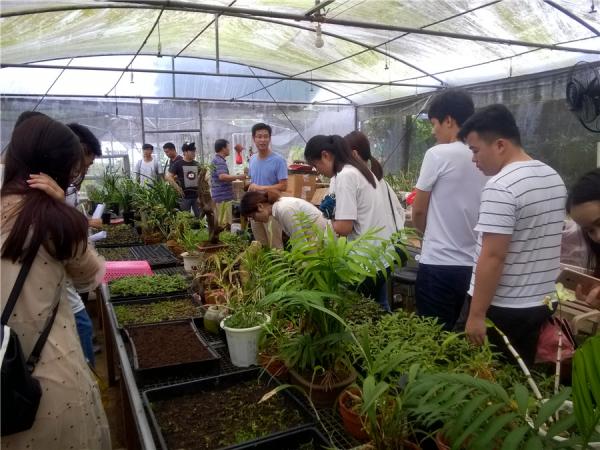 宾振钧正在介绍兰花