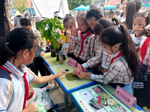 广西热作所科普创新研究团队赴罗文学校开展科普进校园活动