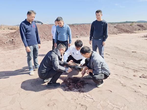 南宁剑麻试验站成员对生态复垦区域进行土壤取样