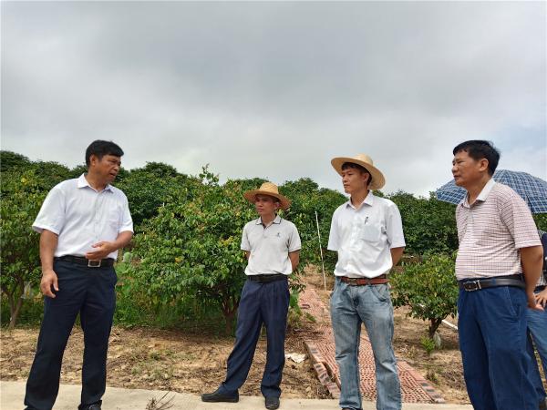 实地检查科研基地