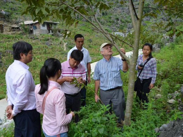 河池市人民政府市长助理、市核桃办第一主任赖家业在凤山县金牙乡陪同考察