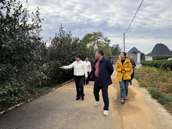 广西热作所到广西茶叶科学研究所开展交流合作 image 1