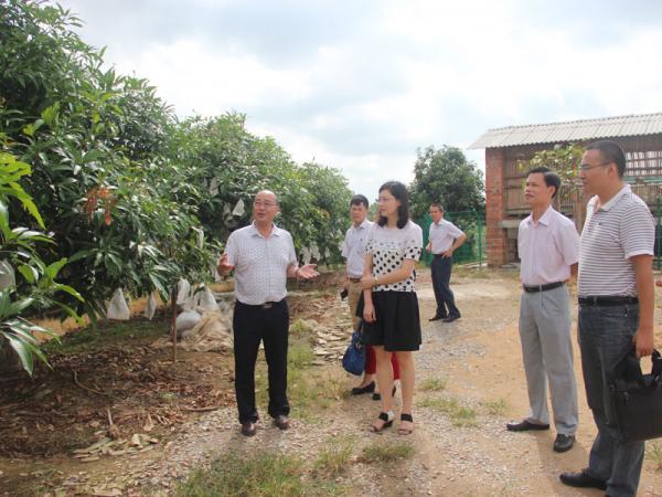 黄强所长陪同自治区编办顾茜副处长到一行参观经济作物研究中心基地