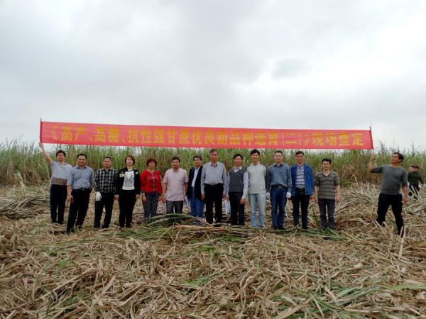 广西农垦国有良圻农场试验基地