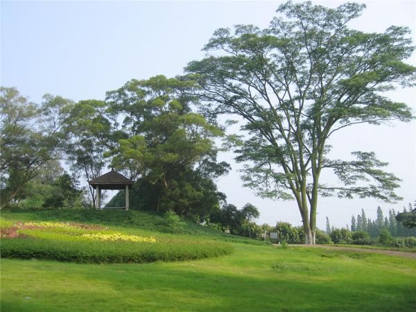 植物园区风景