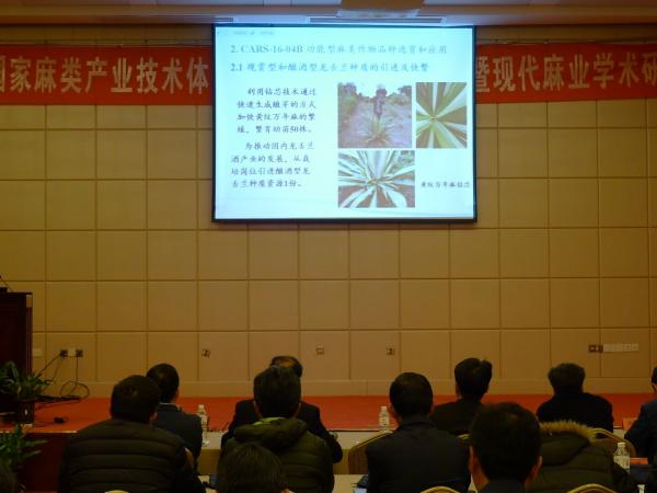 南宁剑麻试验站站长进行工作总结