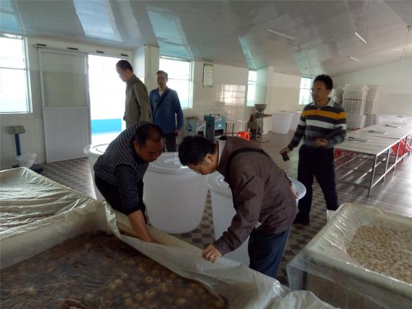 检查果品深加工现场