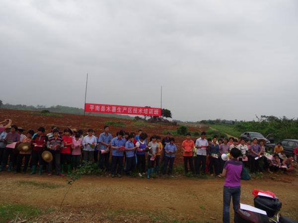 图二：平南县新桥农场木薯培训现场