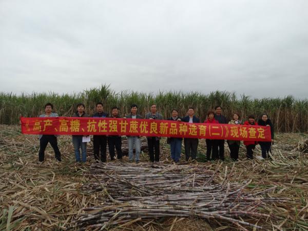 广西农垦国有新兴农场试验基地