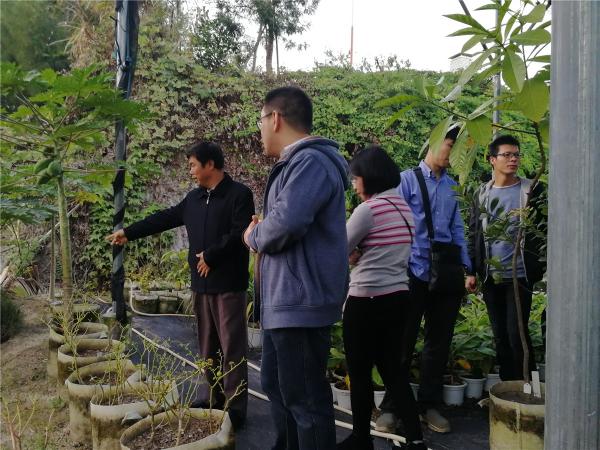 参观厦门植物园引种驯化棚