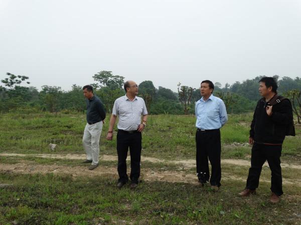 杨海空了解文化广场规划建设情况
