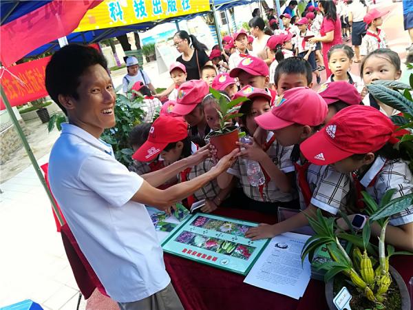 学生们参与“植物拼图”活动