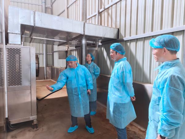 广西热作所科技人员赴横州市开展广西重点研发计划项目《茉莉花高效利用加工技术及配套装备研发与应用示范》实施指导工作 image 1