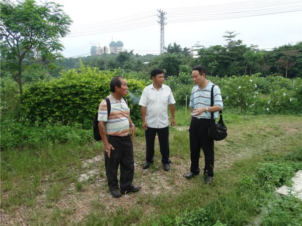工作人员向客人介绍基地情况
