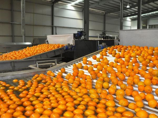 亚热带水果储运保鲜技术及设备研究 image 3