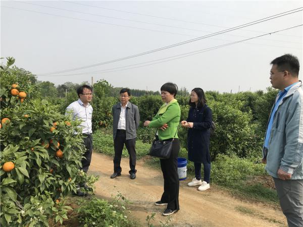 参观种植基地