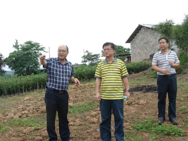 甘羽翔副局长听取黄强所长汇报我所土地工作开展情况