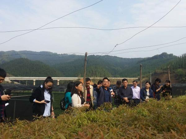 广西农业人口_据说这是广西最富有的5个县,你们服么(2)
