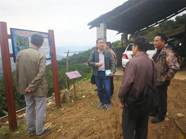 水果基地建设汇报