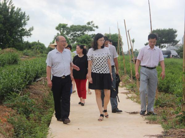 黄强所长陪同自治区编办顾茜副处长到都市生态茶园调研