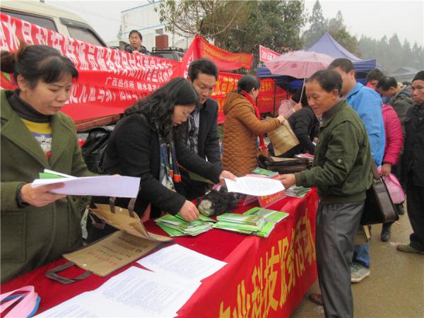在坡会发放科普材料和开展技术咨询服务