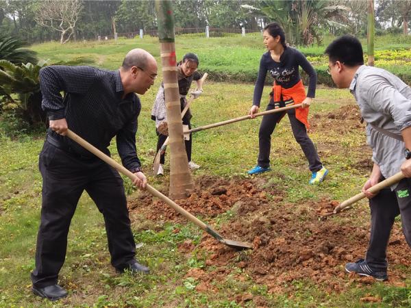 所党委书记、所长黄强参加植树活动