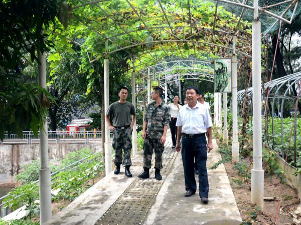 参观生态果蔬种植基地