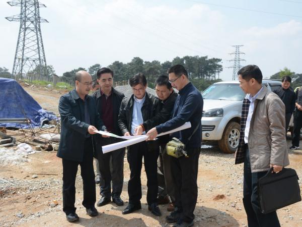 广西农垦局甘羽翔副局长通过图纸了解土地情况