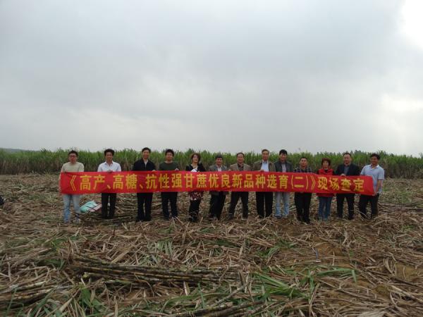 广西农垦国有昌菱农场试验基地