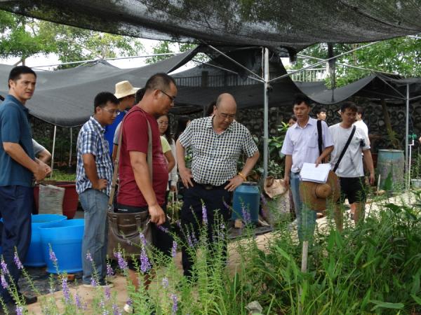 黄强所长带队对花卉中心育苗大棚进行科研生产检查