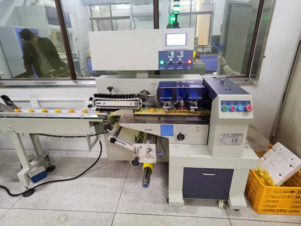 亚热带水果储运保鲜技术及设备研究 image 4