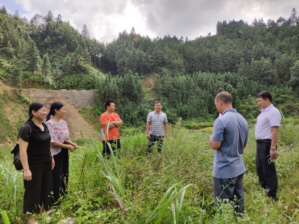 在东水村与村党建班子指导菌棒下田及蔬菜种植前的准备工作