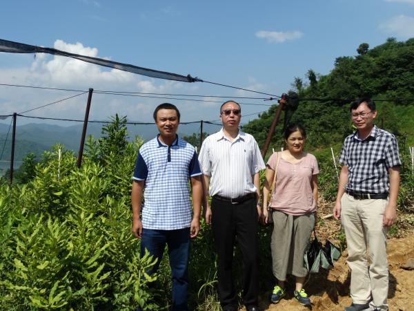 百色坚果派公司调研