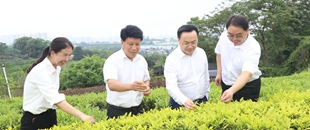刘仲华院士莅临资源圃指导_副本.jpg
