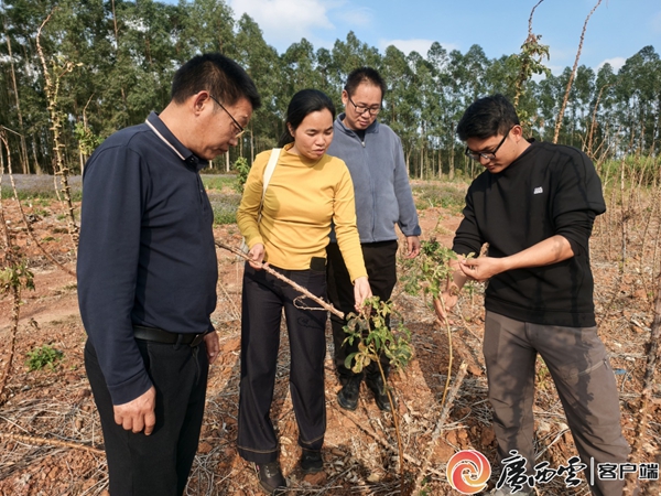 1769993112381374.jpg 61725f607e69d30e846760778398cbbf_wm1c3b.jpg