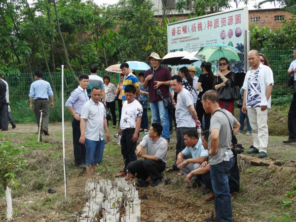 田阳县农业局组织新型职业农民到我所参观学习