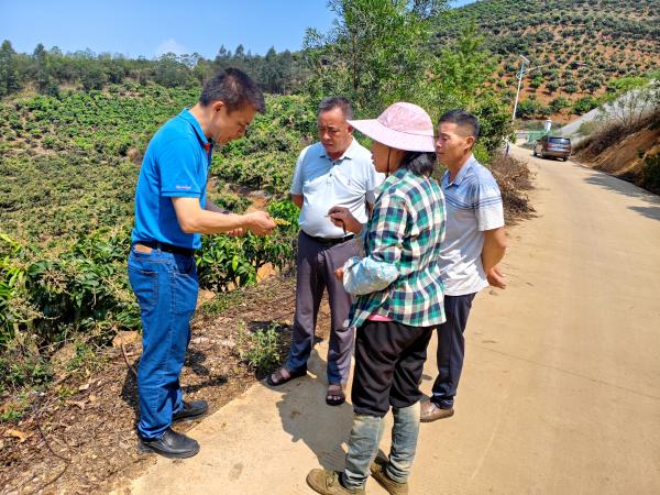 广西热作所特色水果产业科技先锋队到百色市开展技术服务