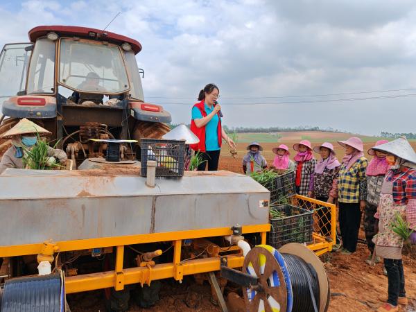 广西热作所科技人员赴横州市举办甘蔗生产机械化观摩会
