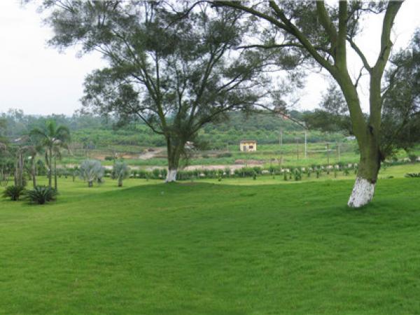 植物园区风景 植物园区风景