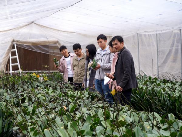 科技人员参观南群花场 科技人员参观南群花场