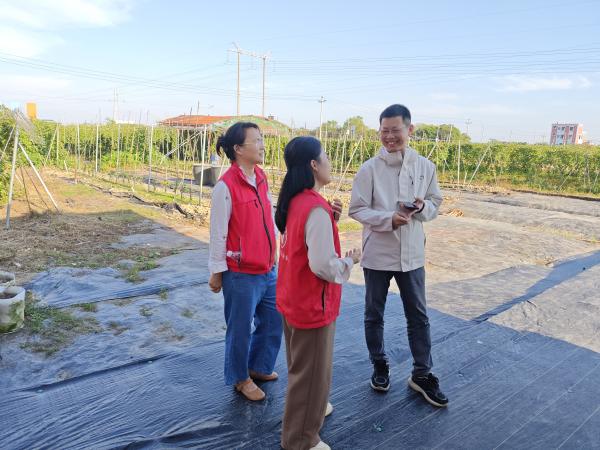 广西热作所特色水果产业先锋队到北流市开展科技服务活动