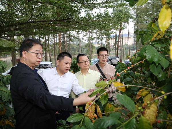 林下作物及作物饲料化座谈交流会在广西热作所召开