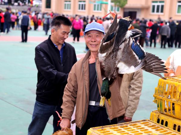 广西热作所工会举办2024年“同喜同乐欢庆新年”春节职工游园活动