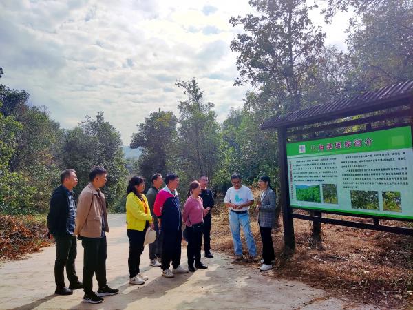 广西热作所老年科协与经作研究中心联合开展林下经济资源调研活动