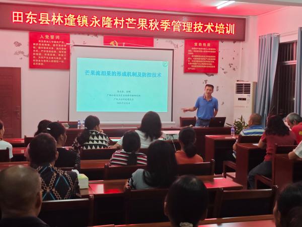 广西热作所科技人员前到百色市田东县开展芒果秋季管理技术培训